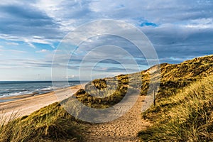 Overgrown sand dune on the german norse sea island Sylt