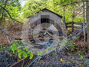 Overgrown scrap or junkyard with old wooden shed in West Virginia.nia