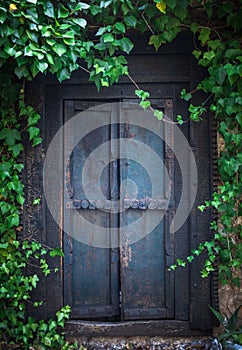 Overgrown Secret Garden Door