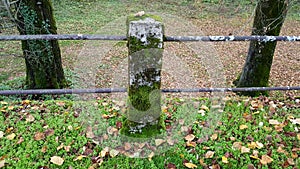 Overgrown stone fence pole with two metal poles on each side