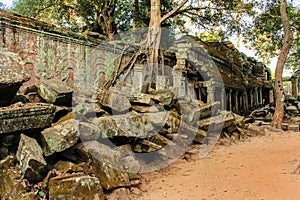 Overgrown temple ruin, Angkor Wat, Cambodia - landmark in jungle landscape