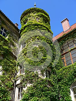 Overgrown tower