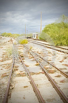 Overgrown tracks