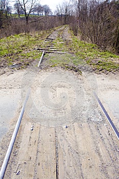 overgrown tracks, Czech Republic