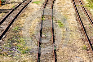 Overgrown tracks with old wooden planks, Loebau, Saxony, Germany