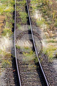 Overgrown tracks with old wooden planks, Loebau, Saxony, Germany