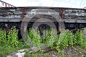 Overgrown train car