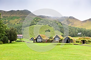 Overgrown Typical Rural Icelandic houses at overcast day