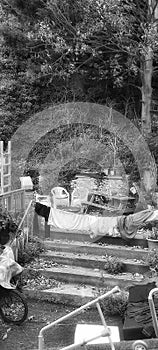 Overgrown unkept back garden