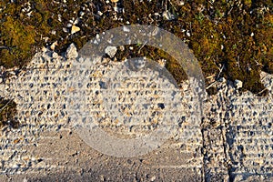 Overgrown vineyard stone texture