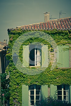 Overgrown wall of residential building facade