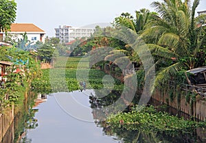 Overgrown water channel in Vientiane