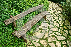 Overgrown weathered wooden bench,paved garden path