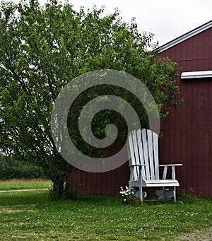 Overgrown, white lawn chair in front of simple red barn under green tree