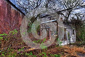 Overgrown Wood Framed Abandoned Gas Station Anderson Texas