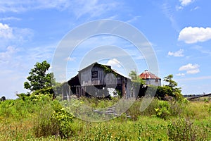 Overgrown Wooden Barn in Arkansas