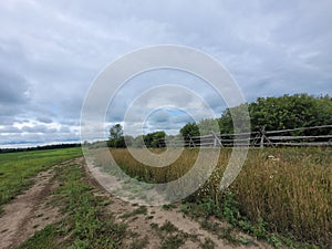 The overgrown wooden fence