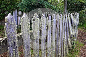 Overgrown wooden garden fence detail, at a farm, Patagonia, Argentina