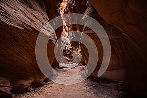 Overhaning Rock Walls Create A Narrow Slot Canyon