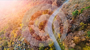 Overhead aerial top view over curve road bend in colorful countryside autumn forest.Fall orange,green,yellow,red tree