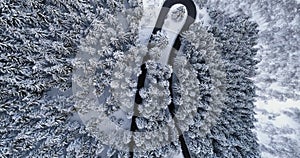 Overhead aerial top view over hairpin bend turn road in mountain snow covered winter forest.White pine tree woods.Snowy