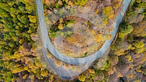 Overhead aerial top view over hairpin turn road bend in colorful countryside autumn forest.Fall orange,green,yellow,red