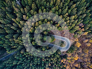 Overhead aerial top view over hairpin turn road bend in countryside autumn pine forest.Fall orange,green,yellow,red tree