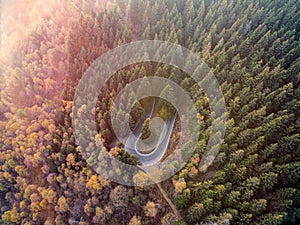 Overhead aerial top view over hairpin turn road bend in countryside autumn pine forest.Fall orange,green,yellow,red tree