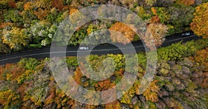 Overhead aerial view of car on country road in sunny colorful autumn forest 4k