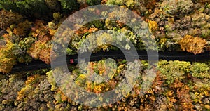 Overhead aerial view of car on country road in sunny colorful autumn forest 4k