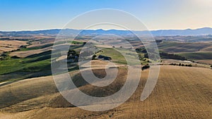 Overhead aerial view of Lavender Fields in the countryside, summer season, drone viewpoint