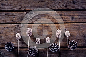 Dry pine cone stick and pine cone arranged on wooden plank