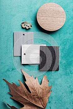 Overhead flat lay of interior design elements for an autumn mood