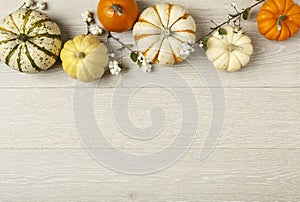 Overhead, horizontal flat lay still life of assorted orange and white pumpkins and ornamental squash on white wood background