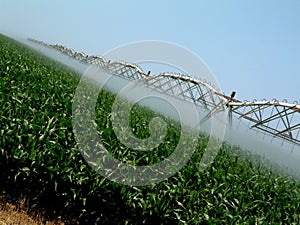 Overhead Irrigation