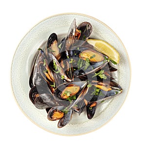 Overhead photo of cooked mussels, isolated on white with a clipping path