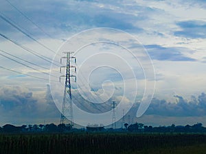 overhead power line in the middle of rice fields