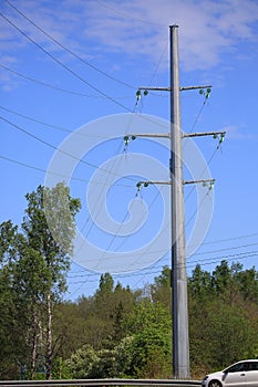 Overhead power line and trees