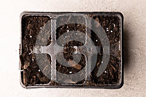Overhead of seedling tray filled with dark soil with bark pieces and fertiliser