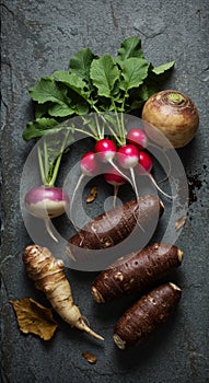 Overhead Shot of Assorted Root Vegetables on Dark Surface