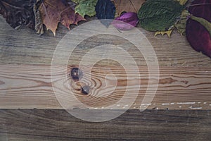 Overhead shot of beautiful colorful autumn leaves on a wooden plank