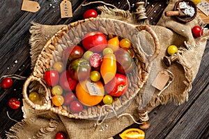 Overhead shot of homegrown assorted red, yellow, orange tomatoes in wicker straw basket