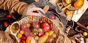 Overhead shot of homegrown assorted red, yellow, orange tomatoes in wicker straw basket in woman hands