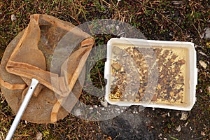 Overhead shot of a pool cleaning net on the ground near a bucket filled with dirt and rock