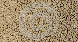 Cracked Earth Texture