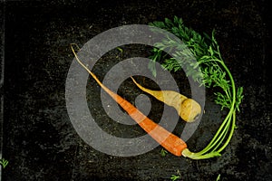 Overhead shot of white and orange carrots photo