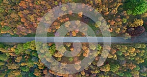 Overhead side aerial top view following over road in colorful countryside autumn forest.Fall orange,green,yellow red