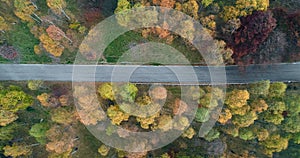 Overhead side aerial top view following over road in colorful countryside autumn forest.Fall orange,green,yellow red