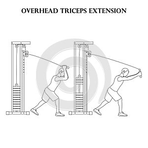 Overhead triceps extension exercise strength workout vector illustration outline