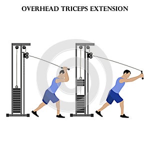 Overhead triceps extension exercise strength workout vector illustration